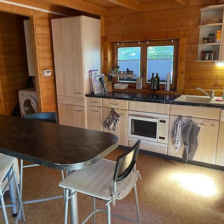 Ferienhaeuser An Den Orgelpfeifen Scheibenberg Buitenkant foto